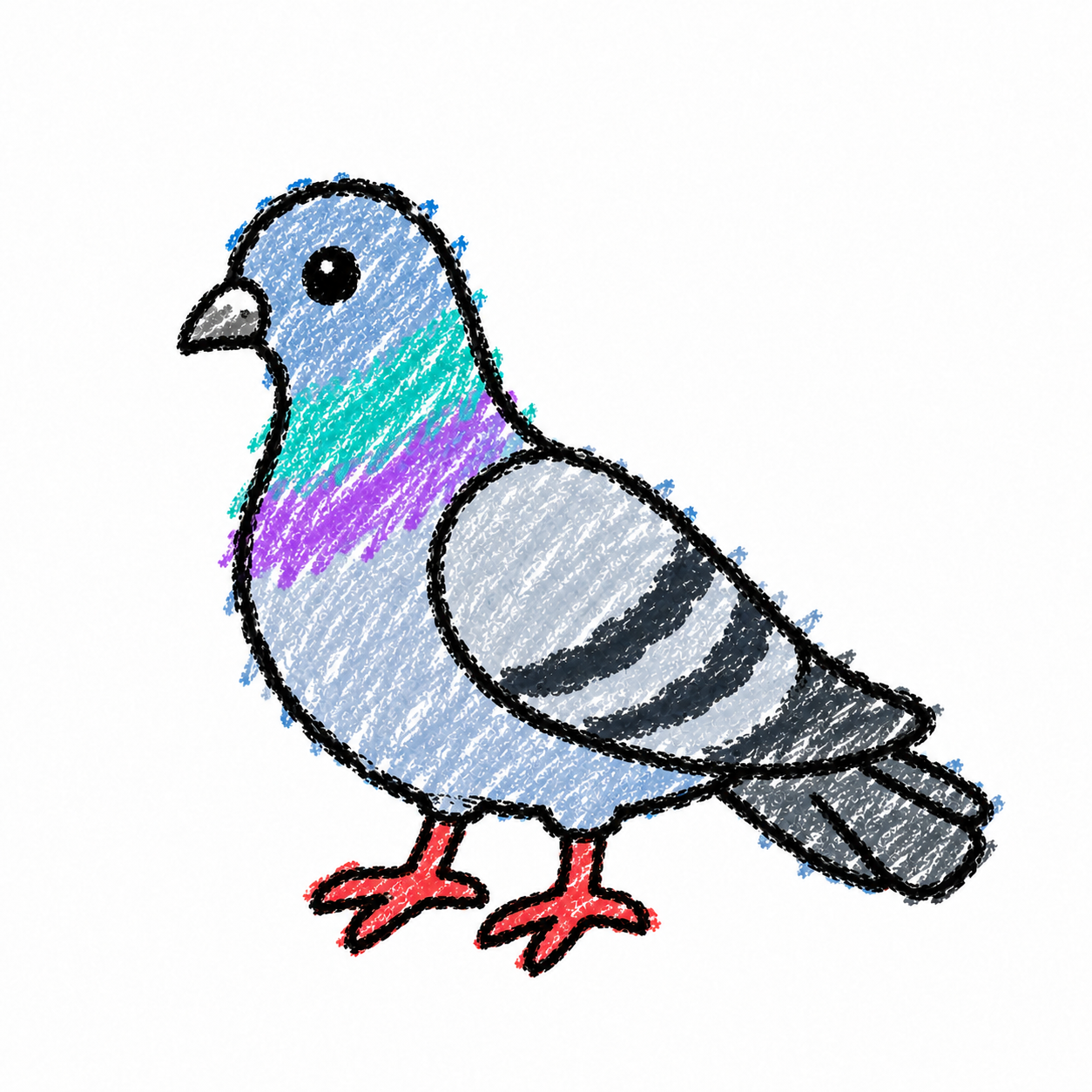 Rock dove