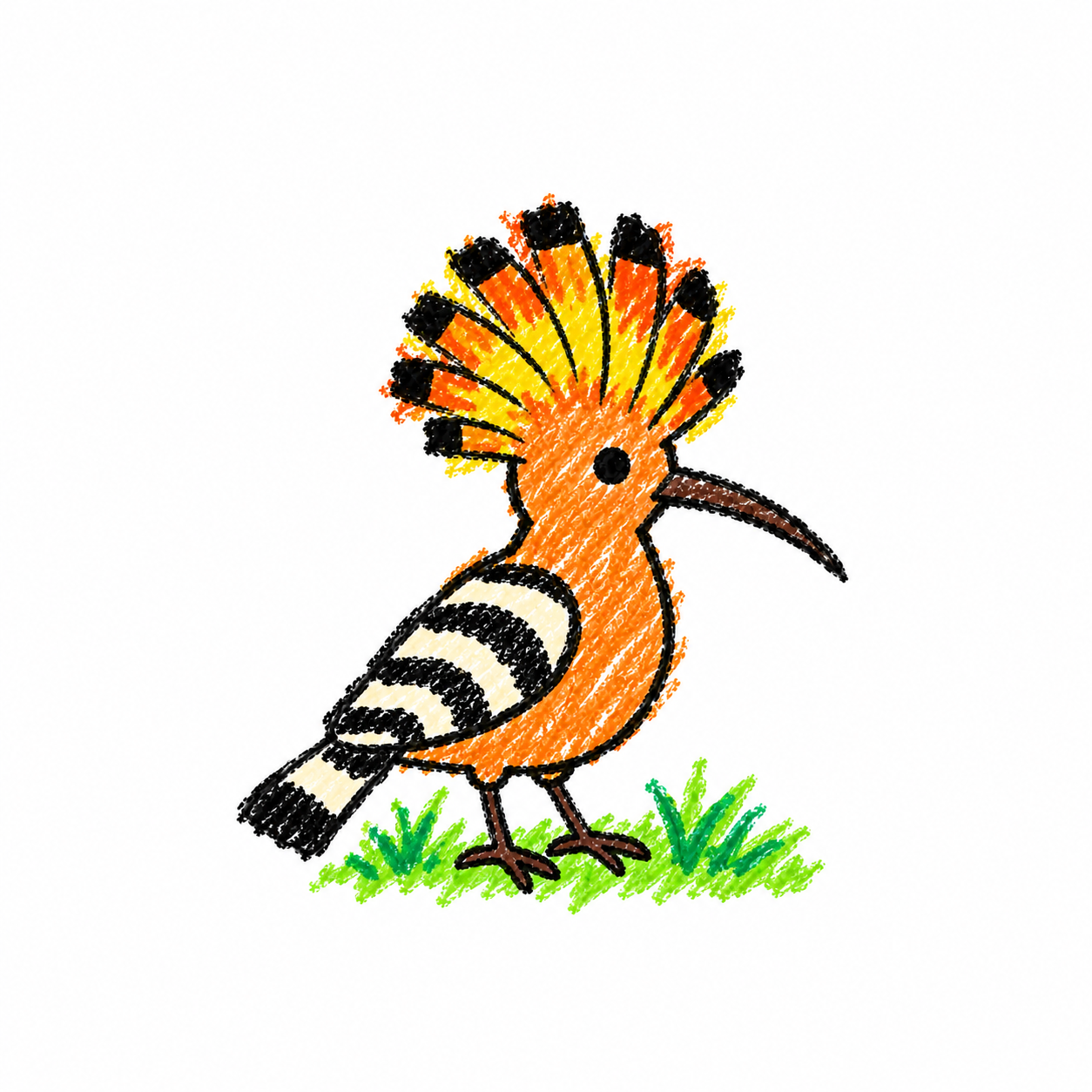 Hoopoe Scene
