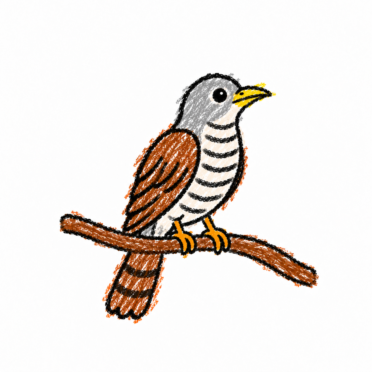 Cuckoo Scene
