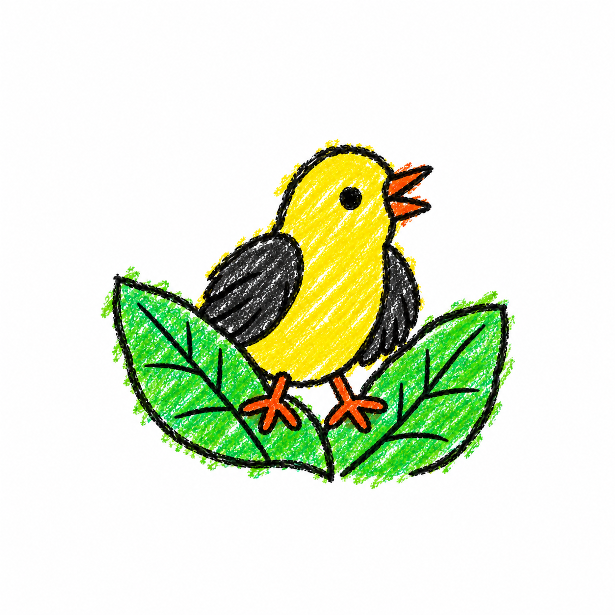 Oriole Scene