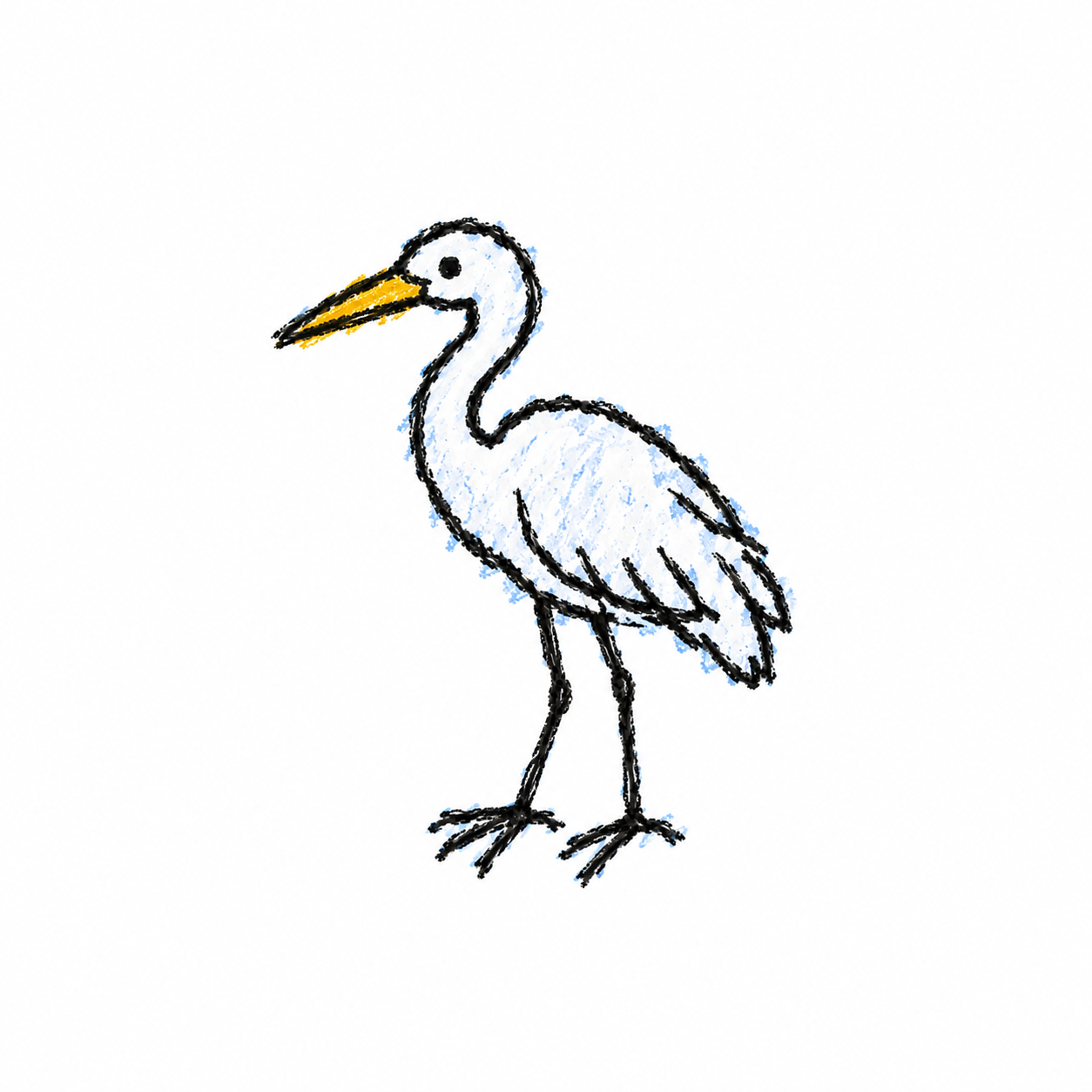 Little egret