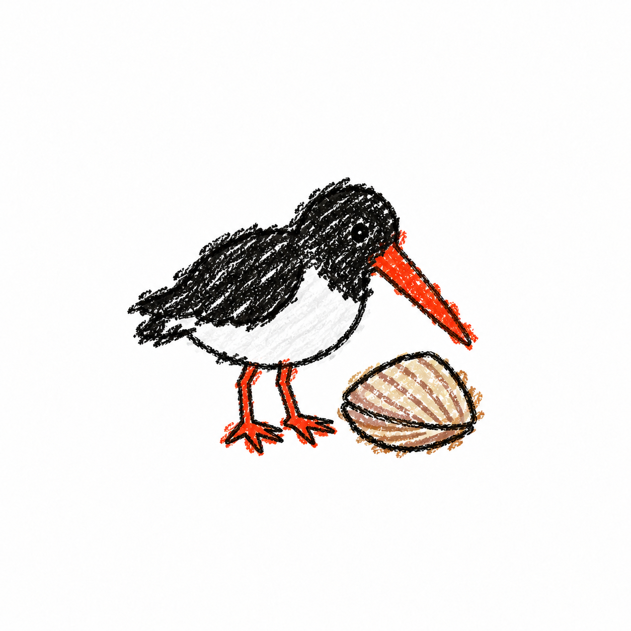 Oystercatcher Scene