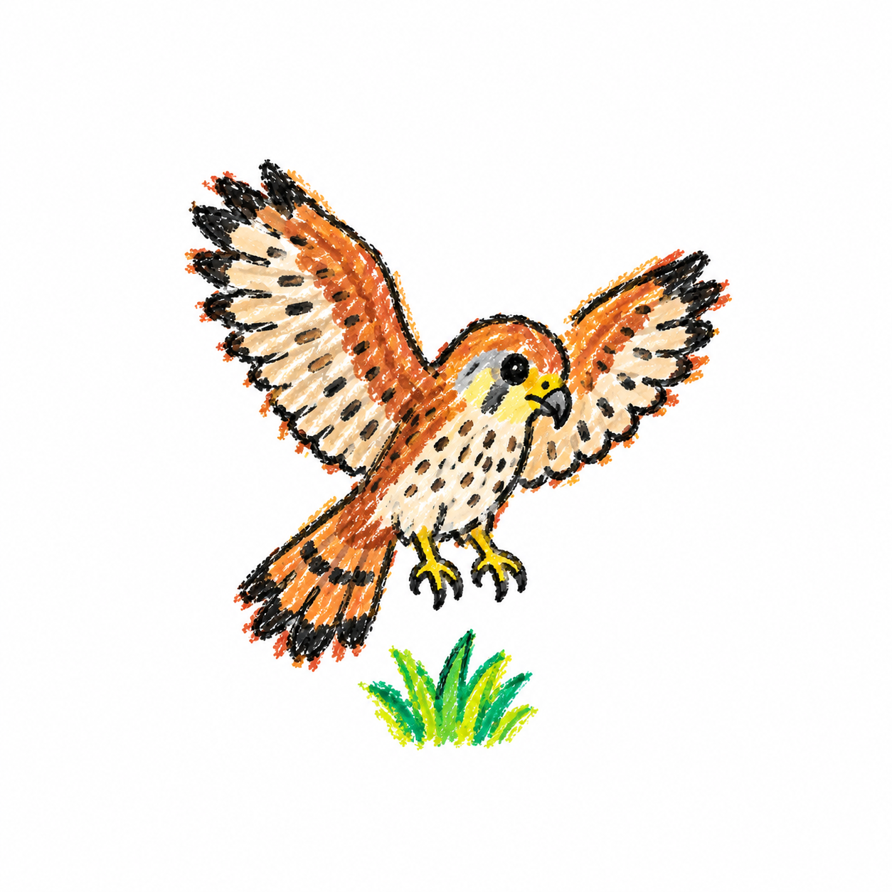Common kestrel Scene