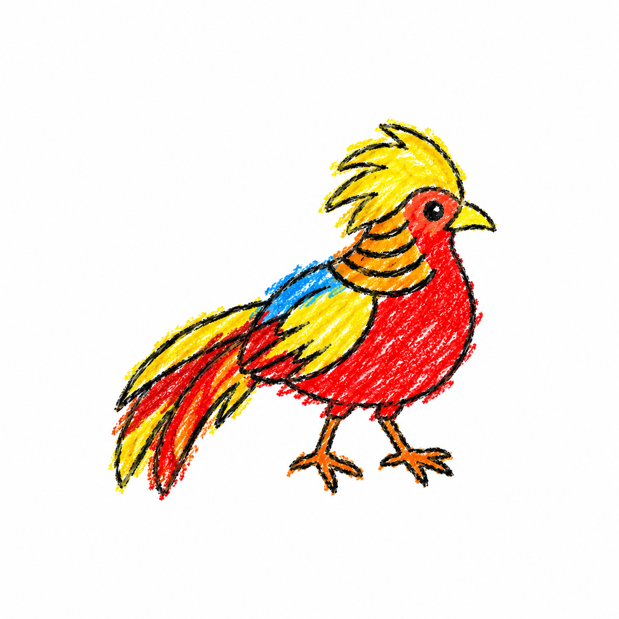 Golden pheasant