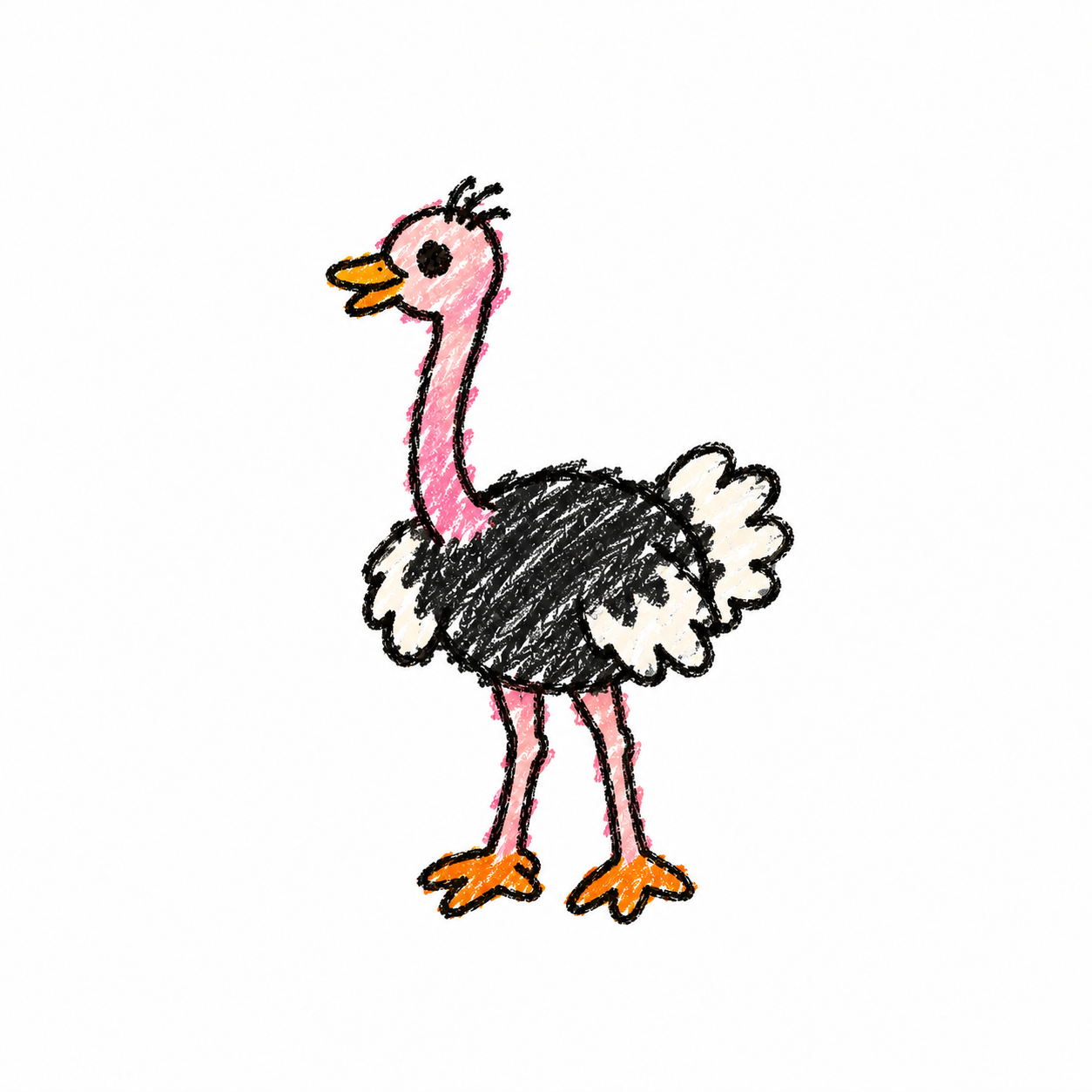 Ostrich
