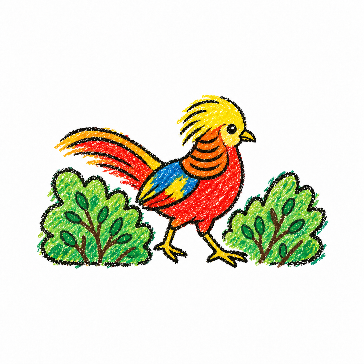 Golden pheasant Scene
