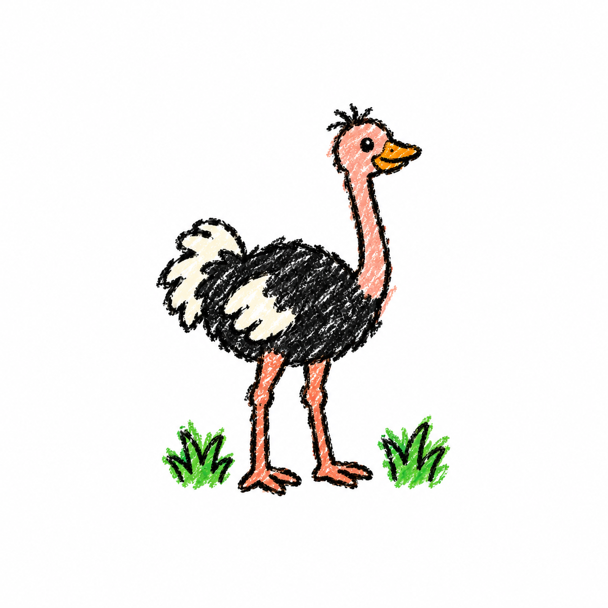 Ostrich Scene