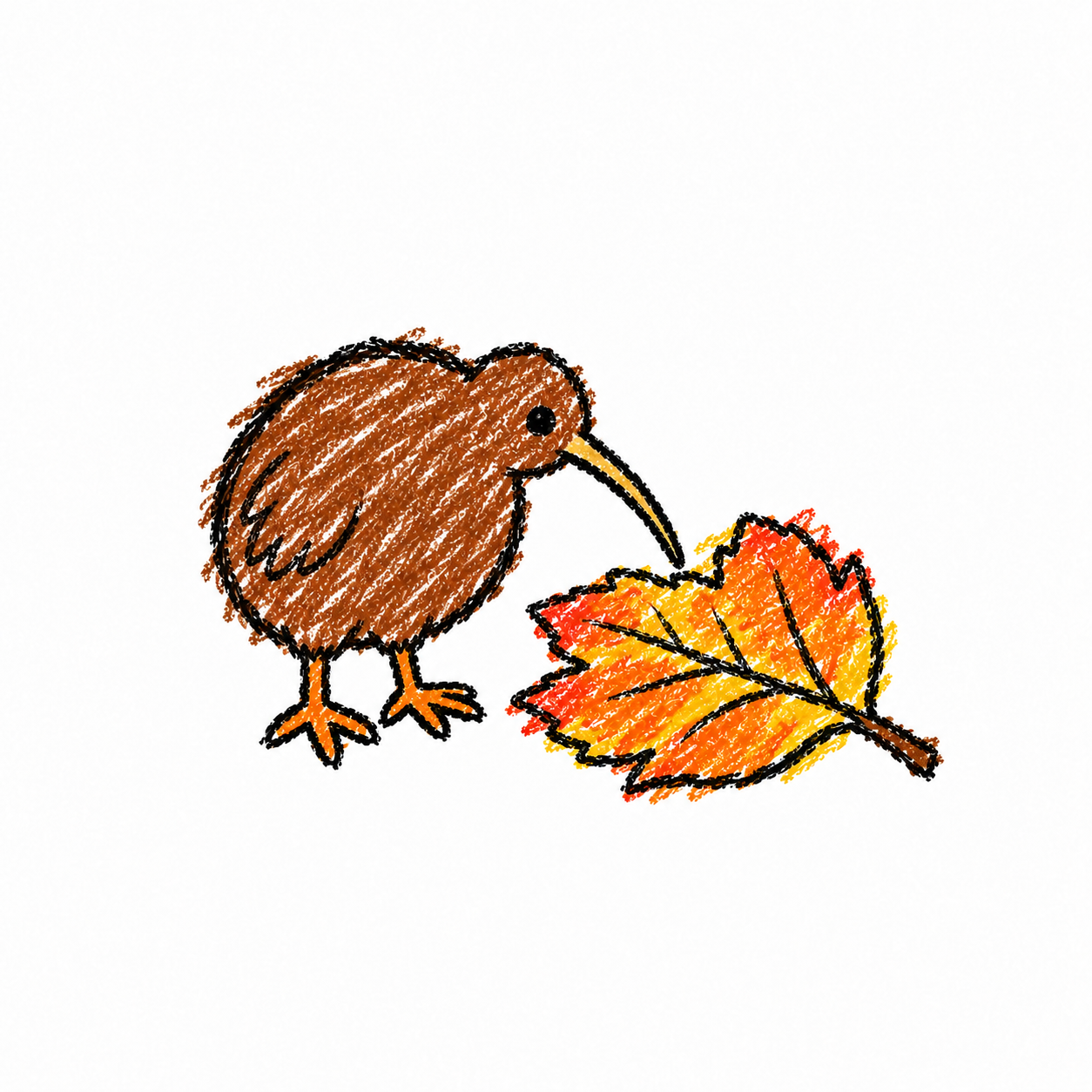 Kiwi Scene