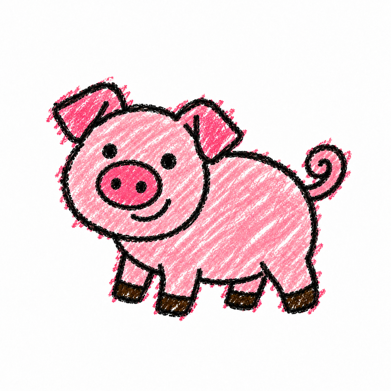 Domestic pig