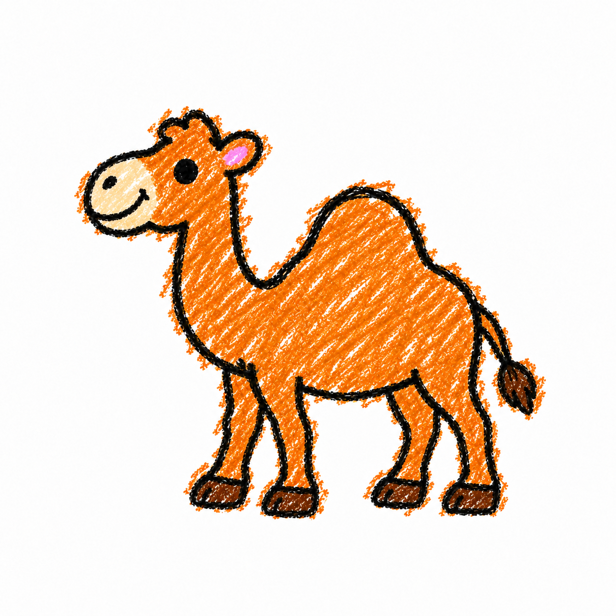 Dromedary camel