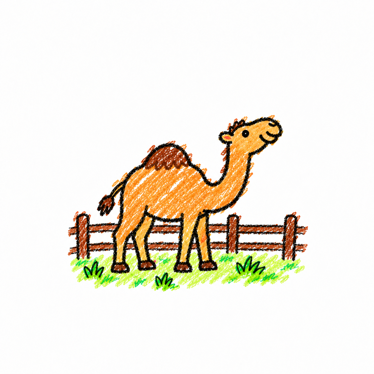 Dromedary camel Scene