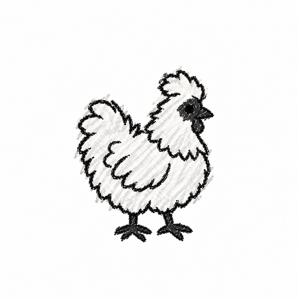 Silkie chicken