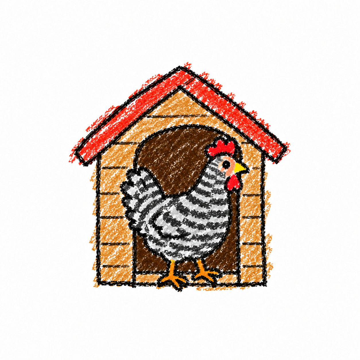 Barred chicken Scene