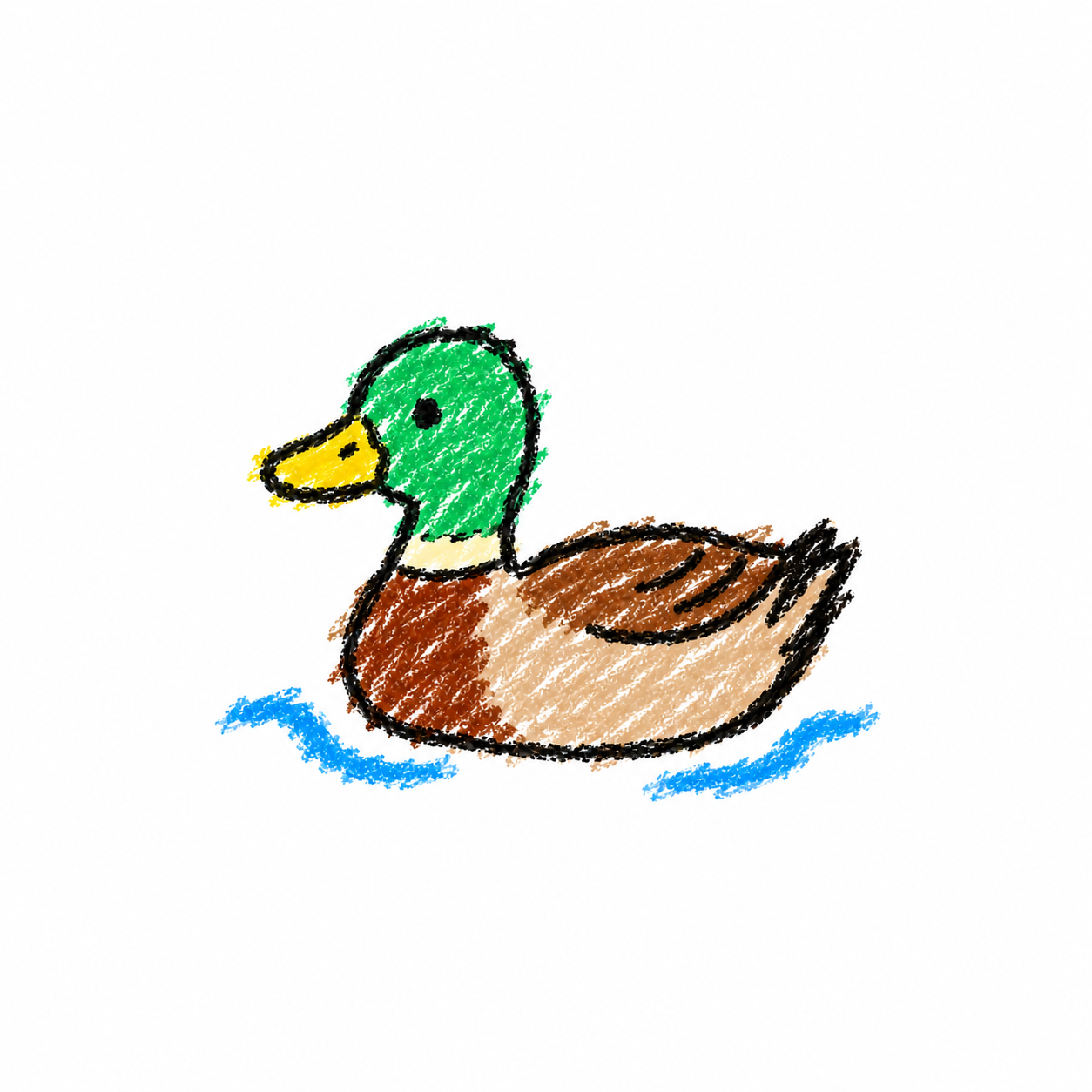 Mallard duck Scene