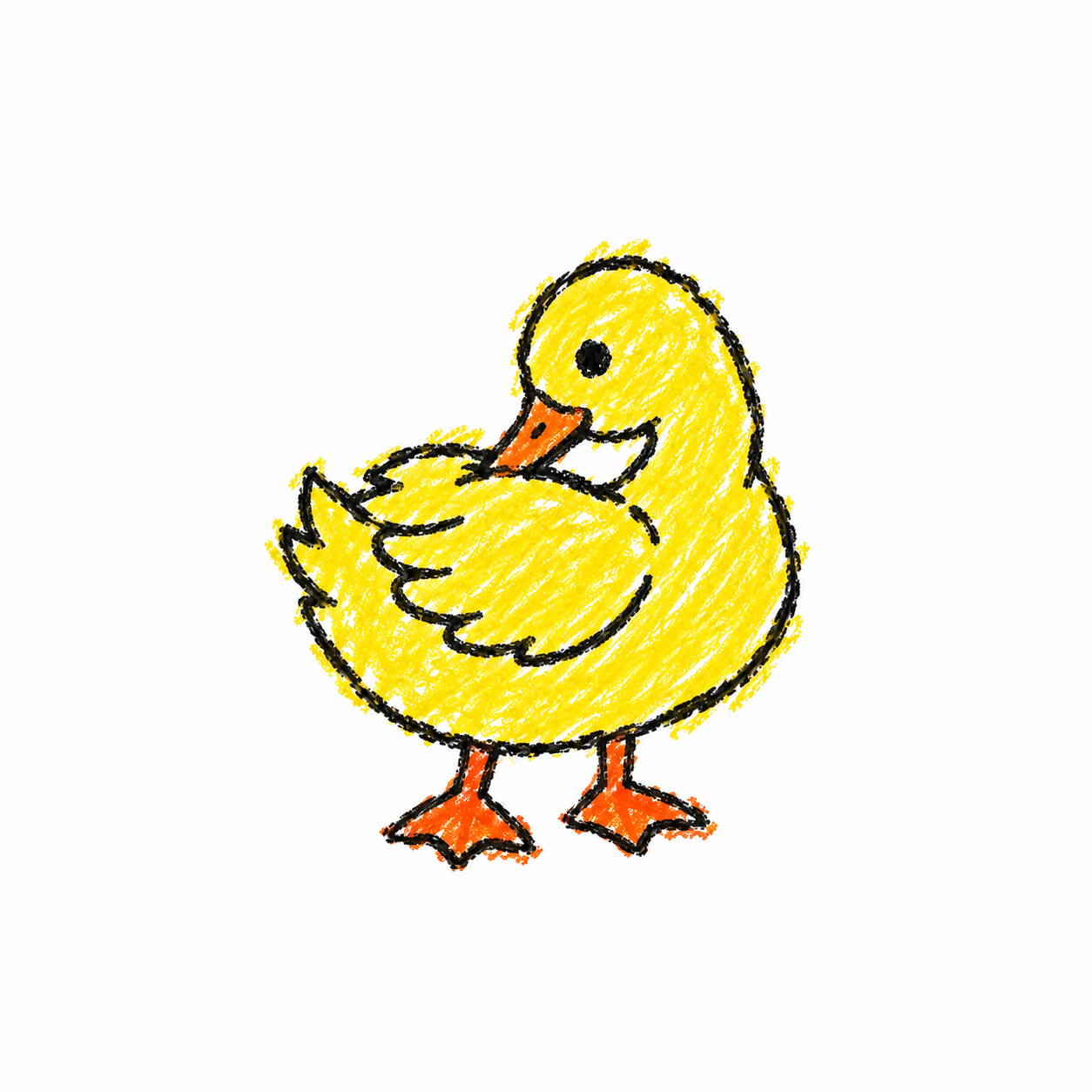 Preening duck