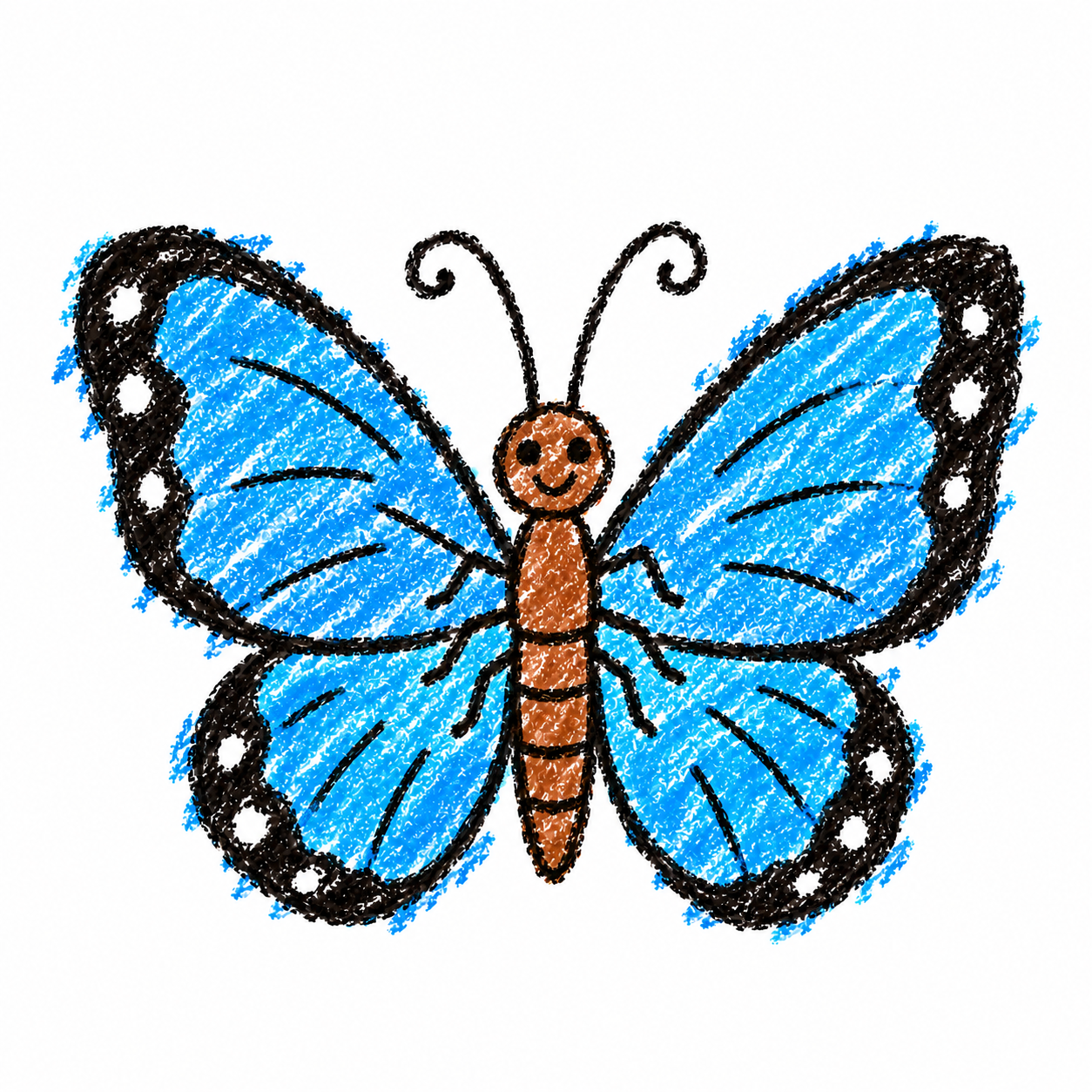 Blue morpho butterfly