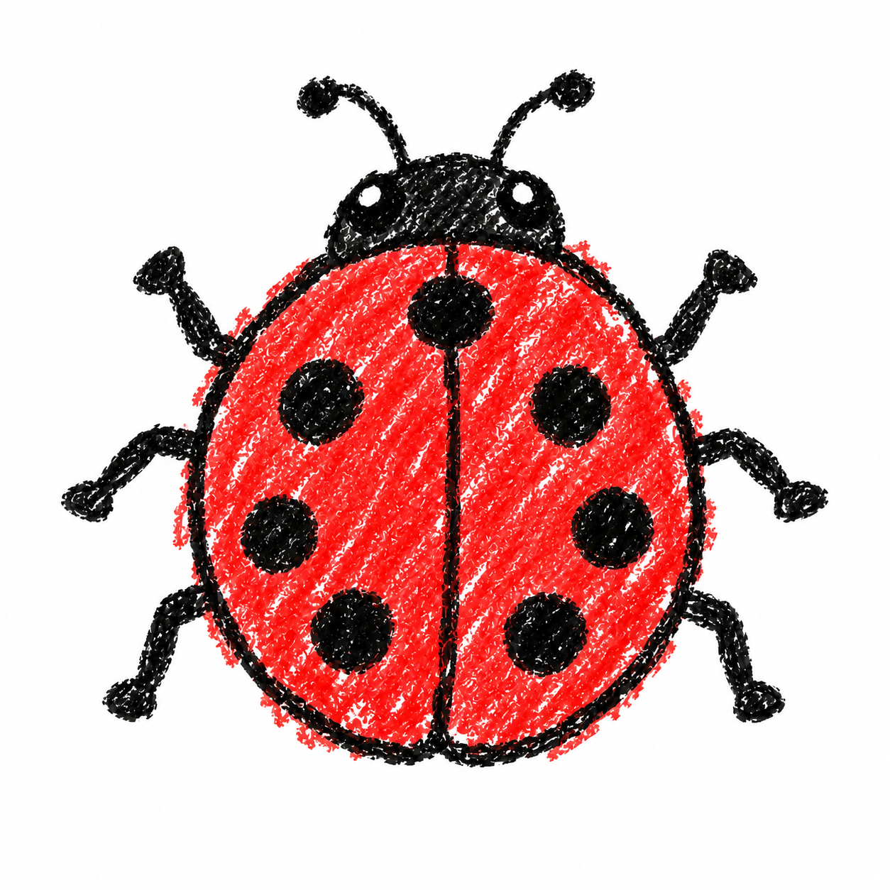 Seven-spotted ladybug