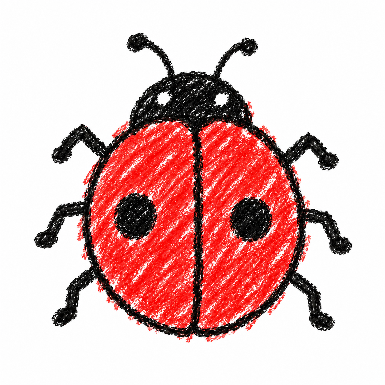 Two-spotted ladybug