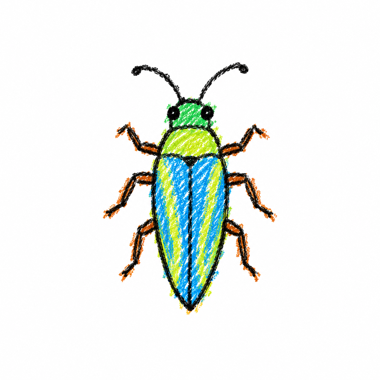 Jewel beetle