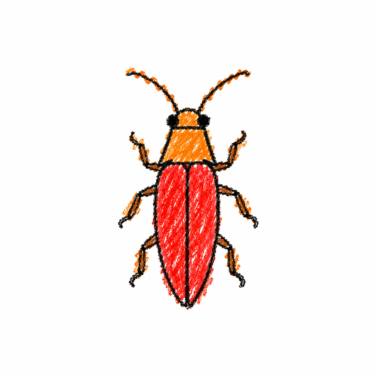Click beetle