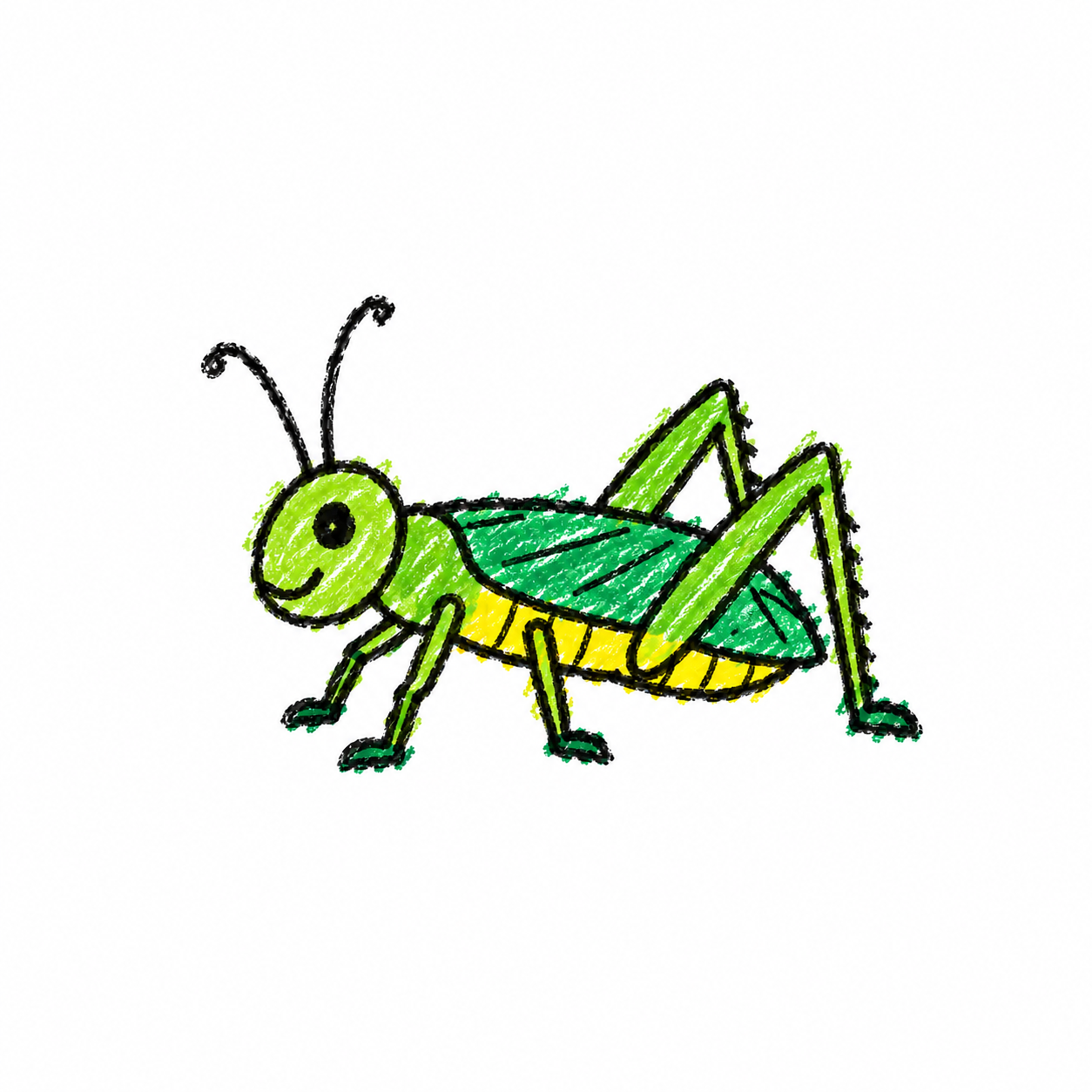 Grasshopper