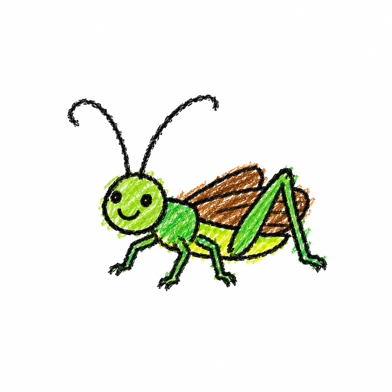 Cricket