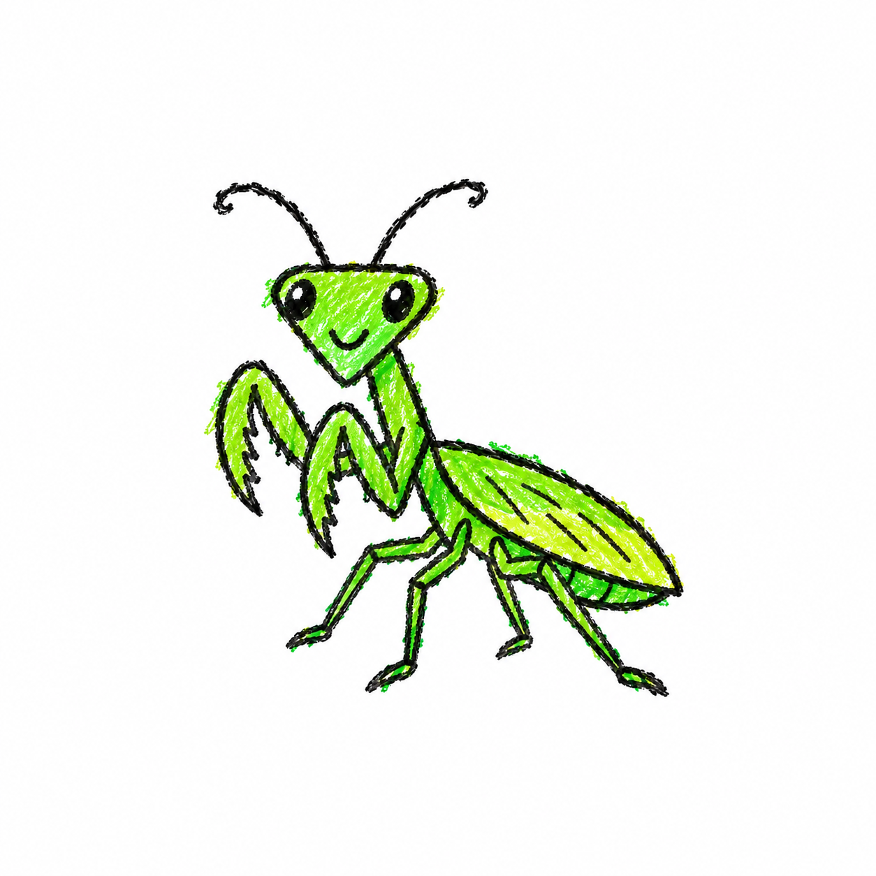 Praying mantis