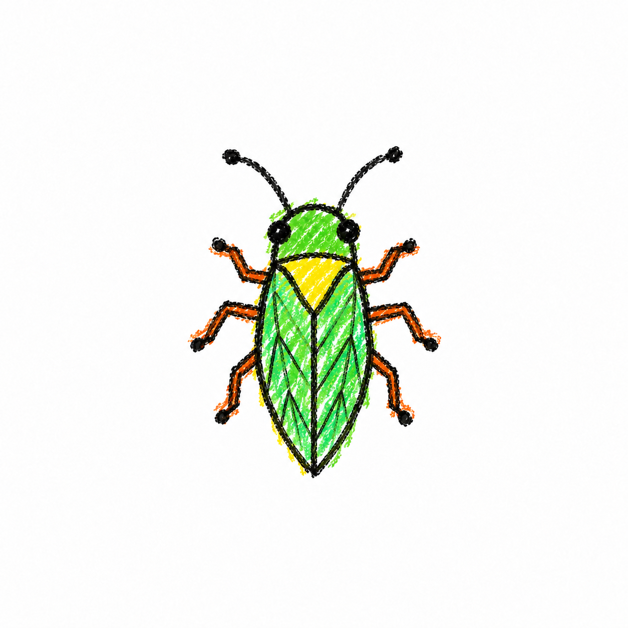 Spittlebug