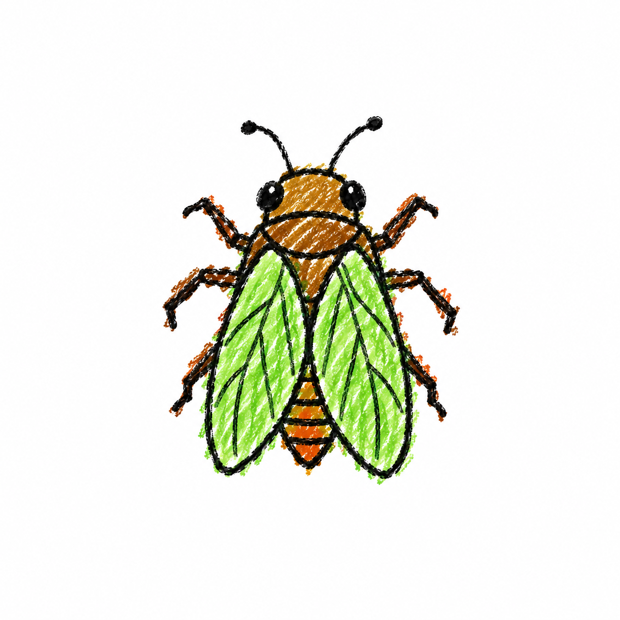 Planthopper