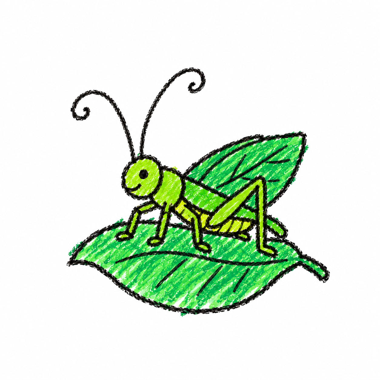 Katydid Scene