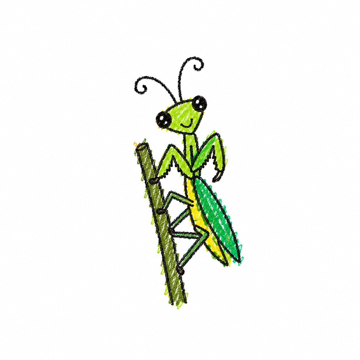 Praying mantis Scene
