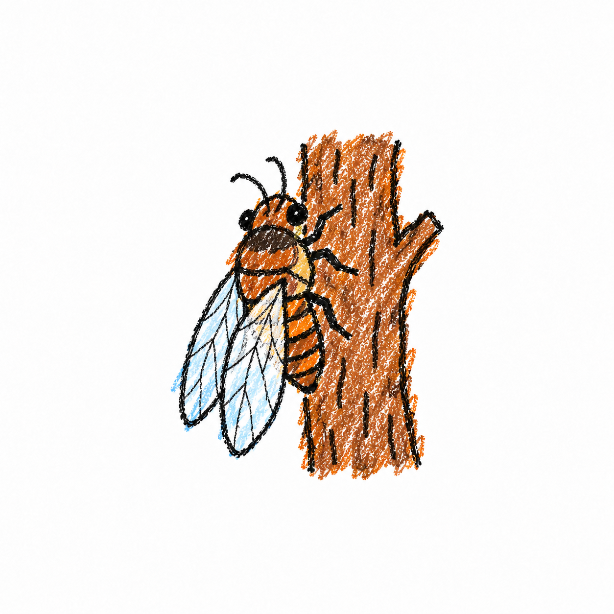 Cicada Scene