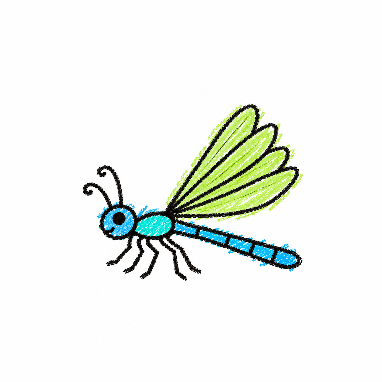 Damselfly