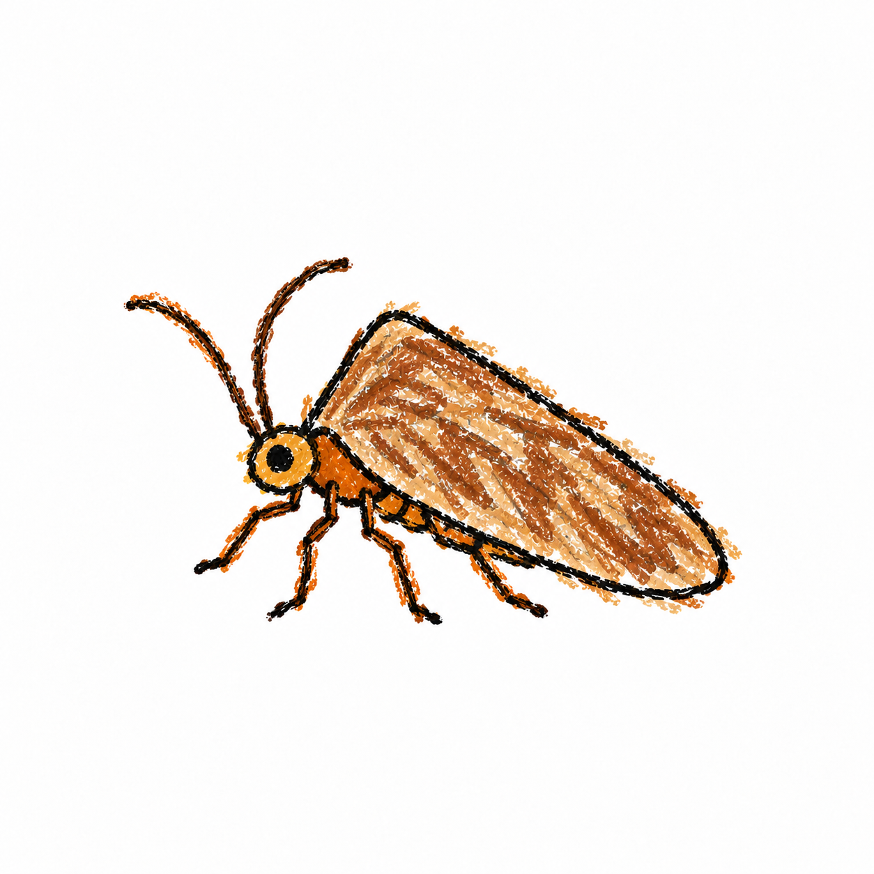 Caddisfly
