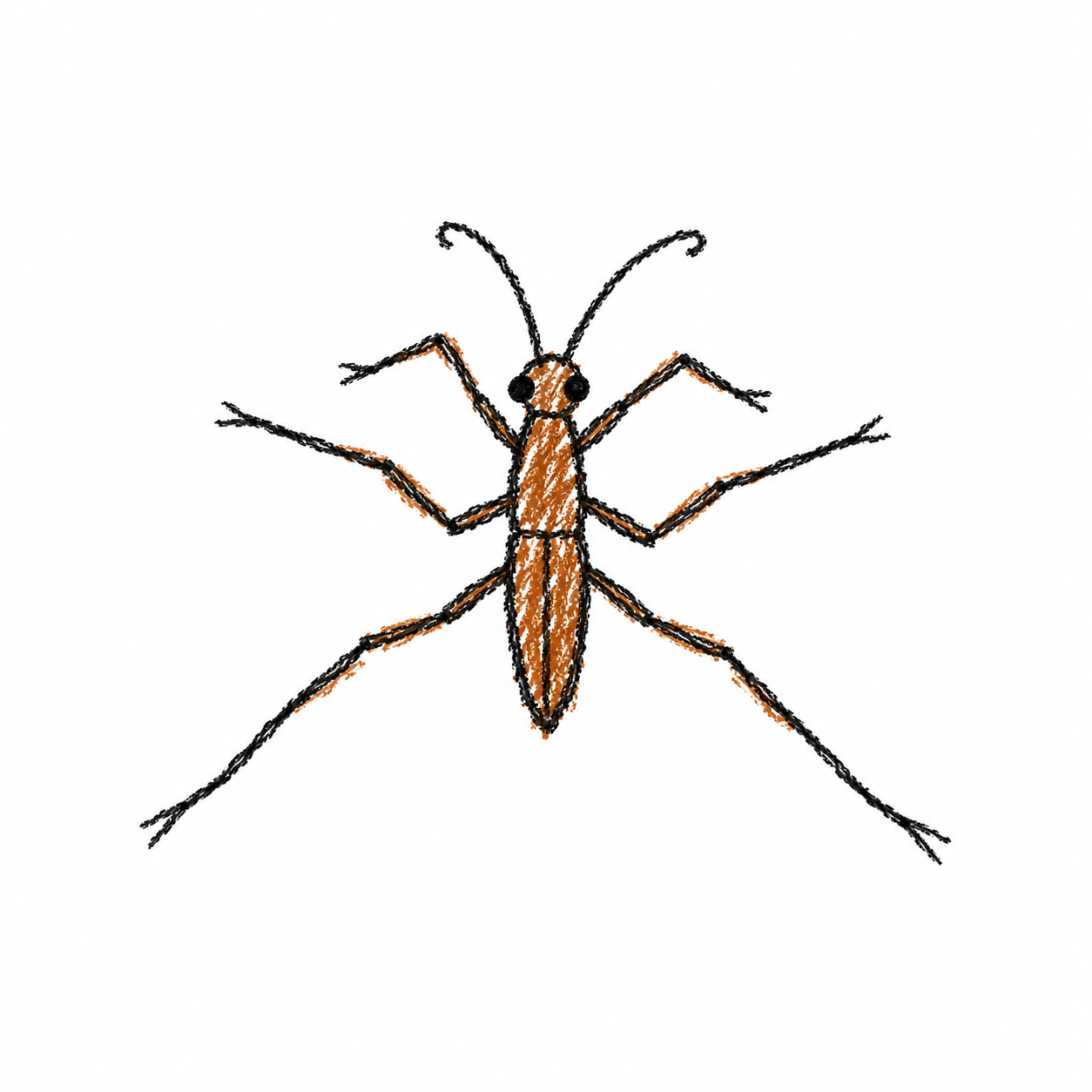 Water strider