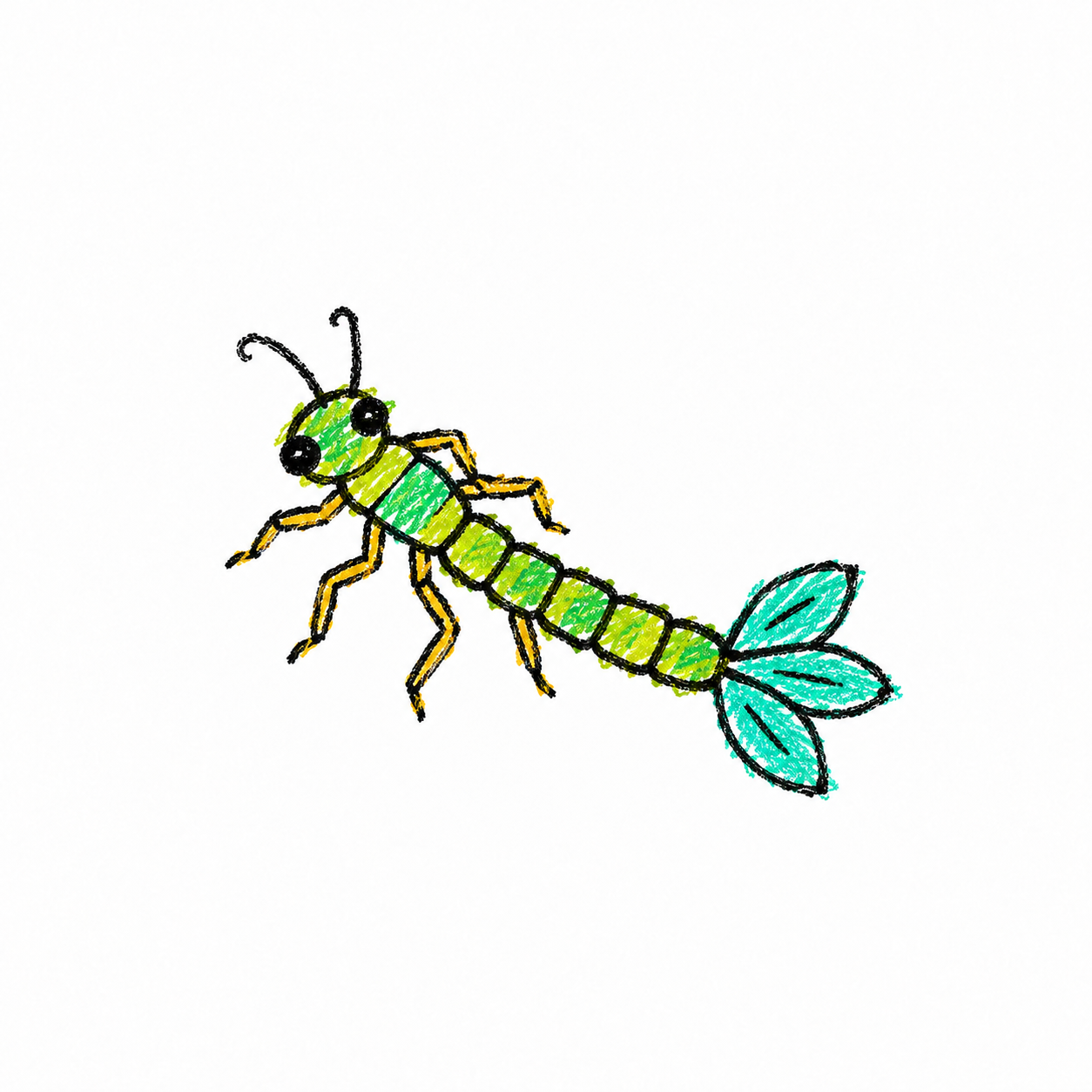 Damselfly nymph