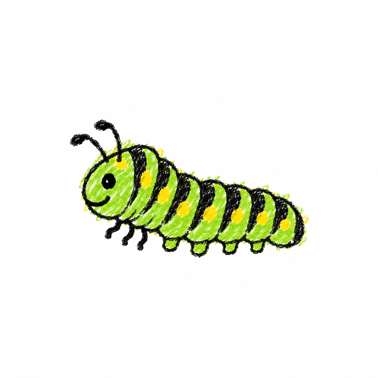Swallowtail caterpillar