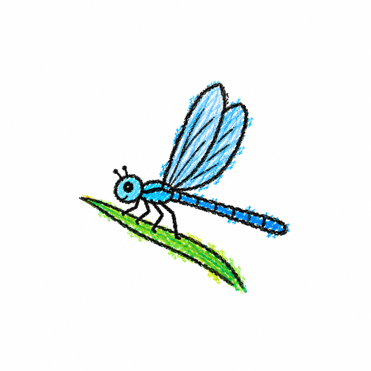 Damselfly Scene