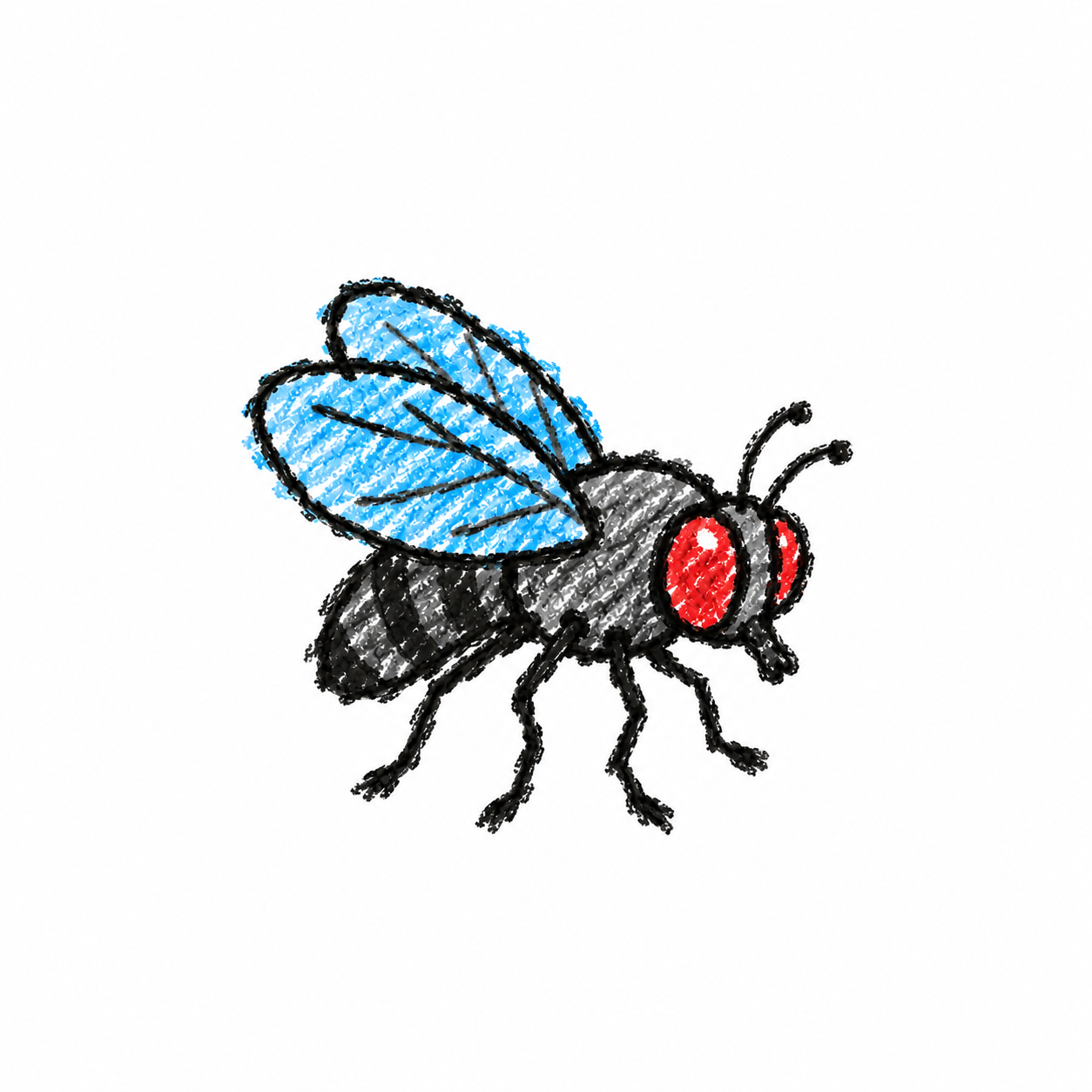 Housefly