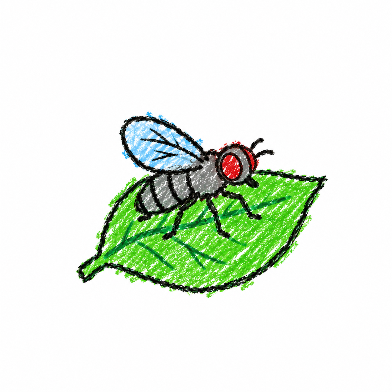 Housefly Scene