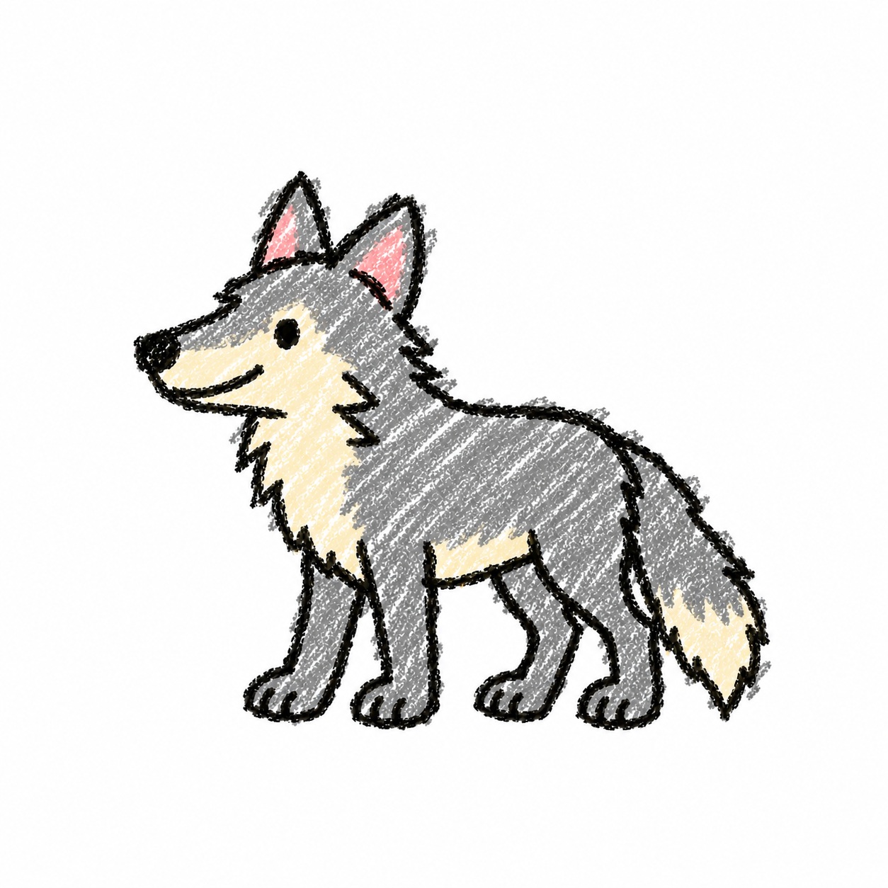 Gray wolf