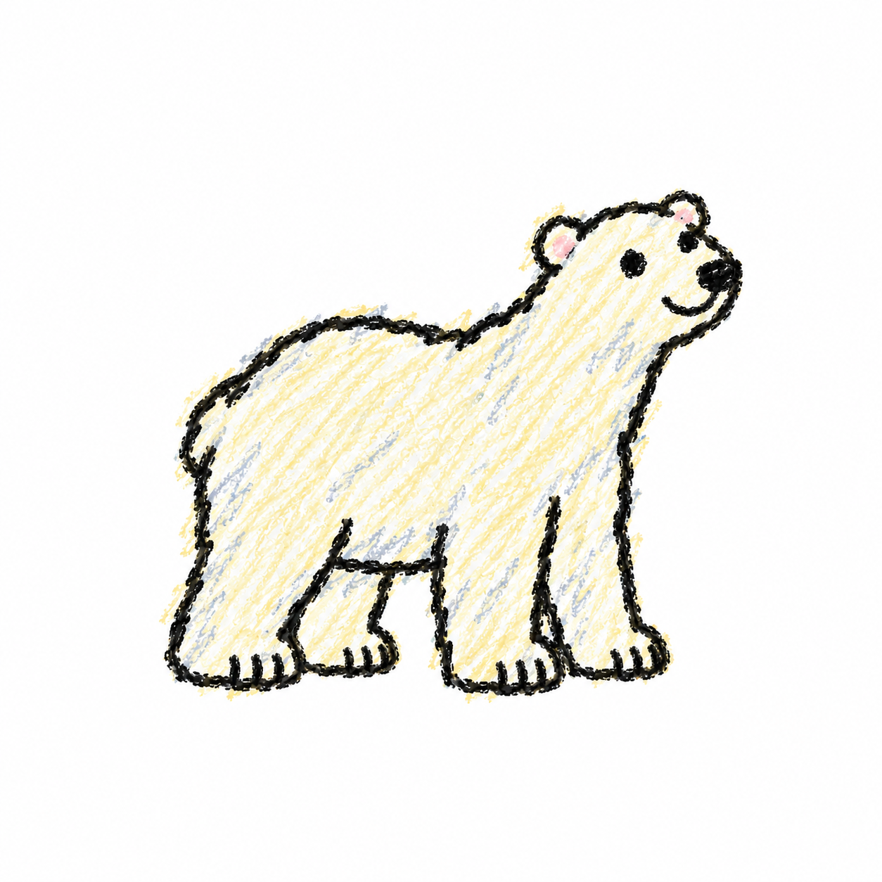 Polar bear