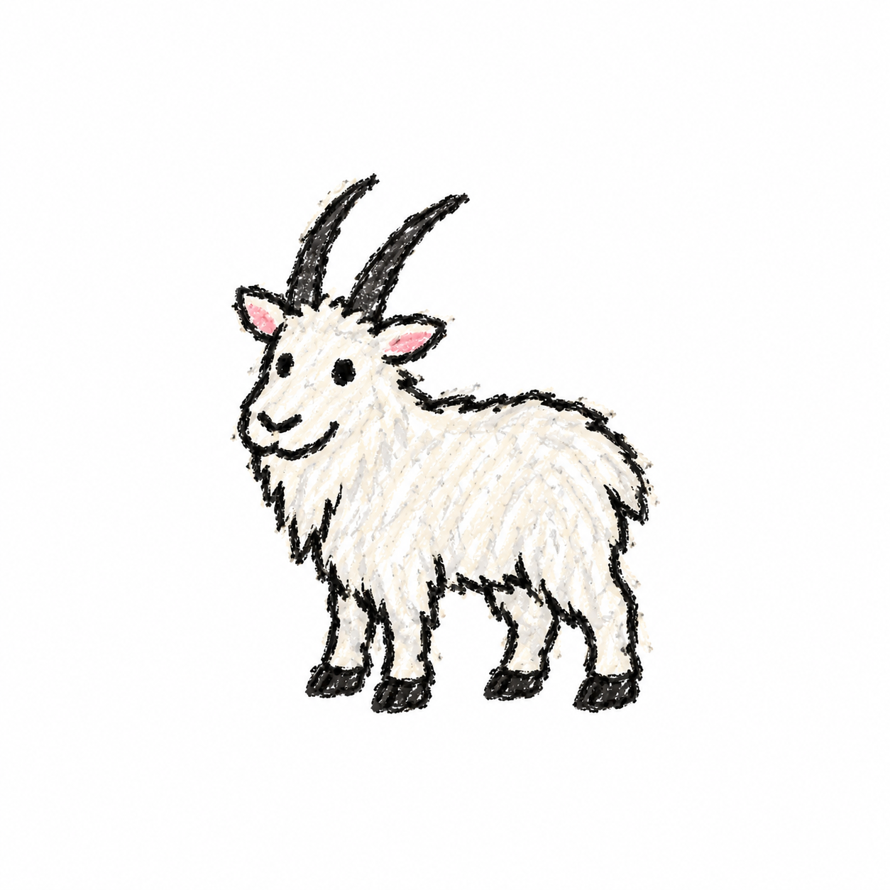 Mountain goat