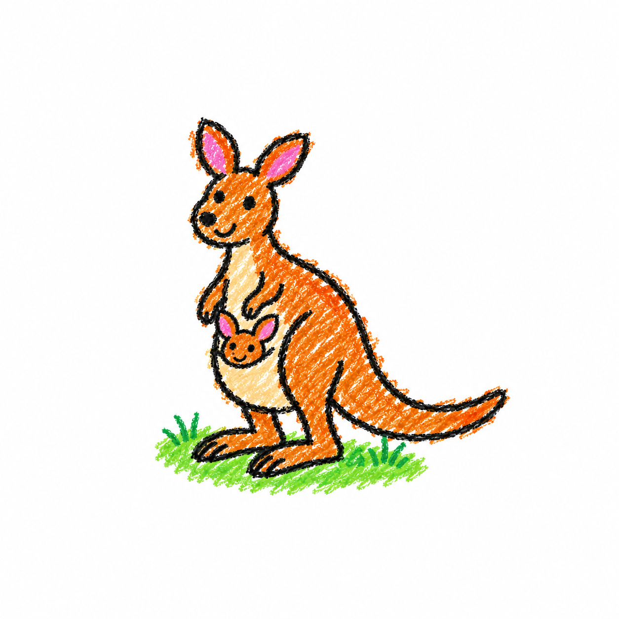 Kangaroo in a Scene
