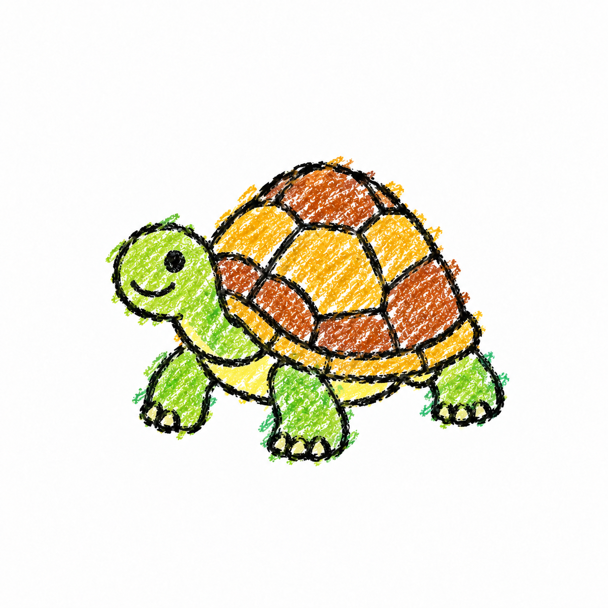 Tortoise