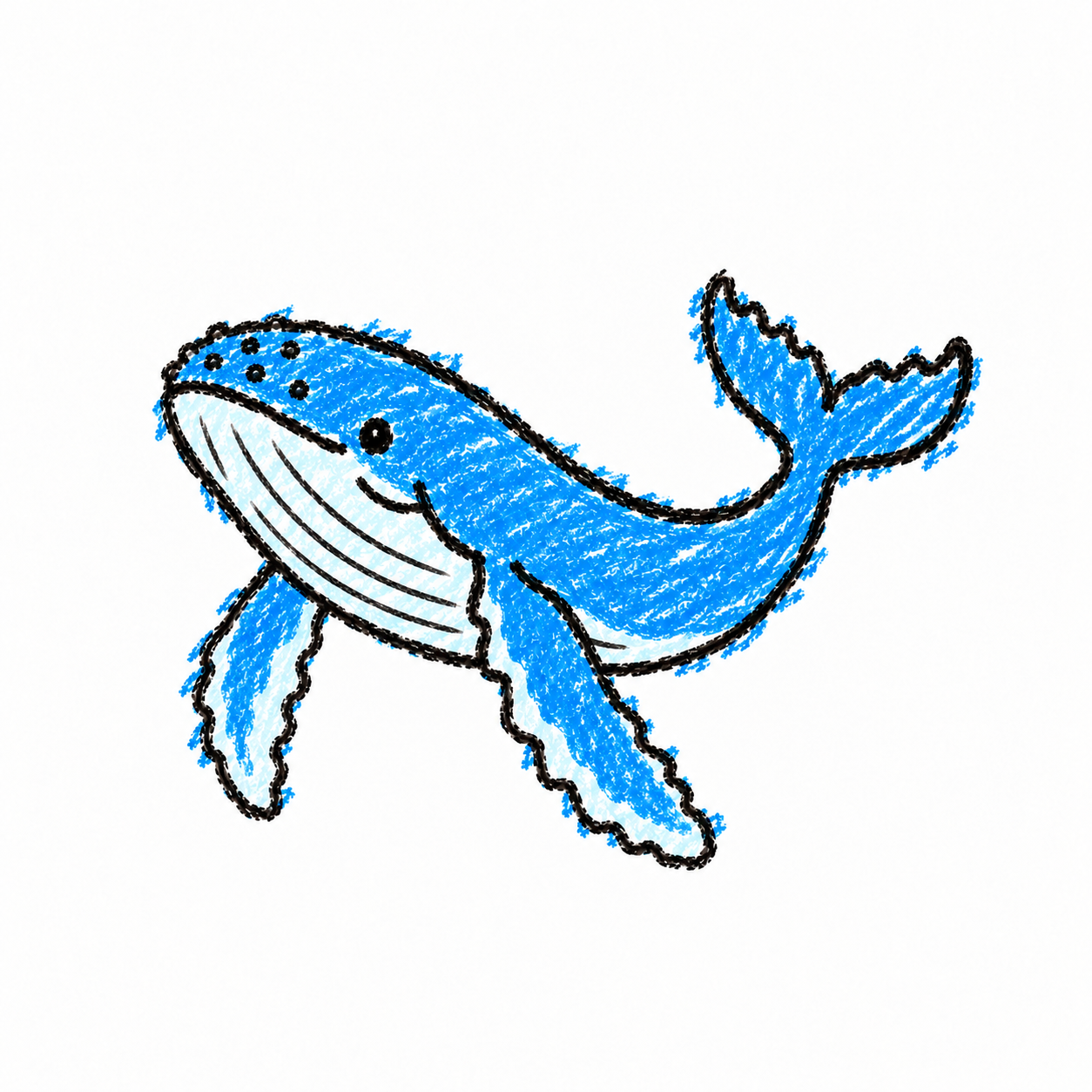 Humpback whale