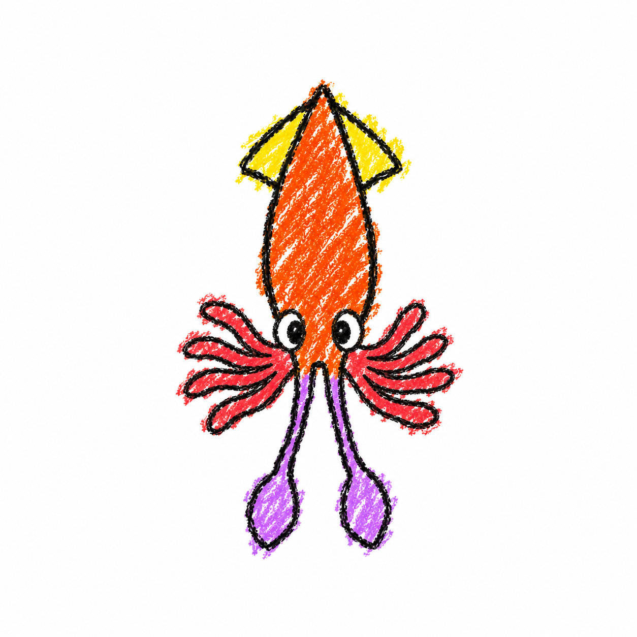 Squid