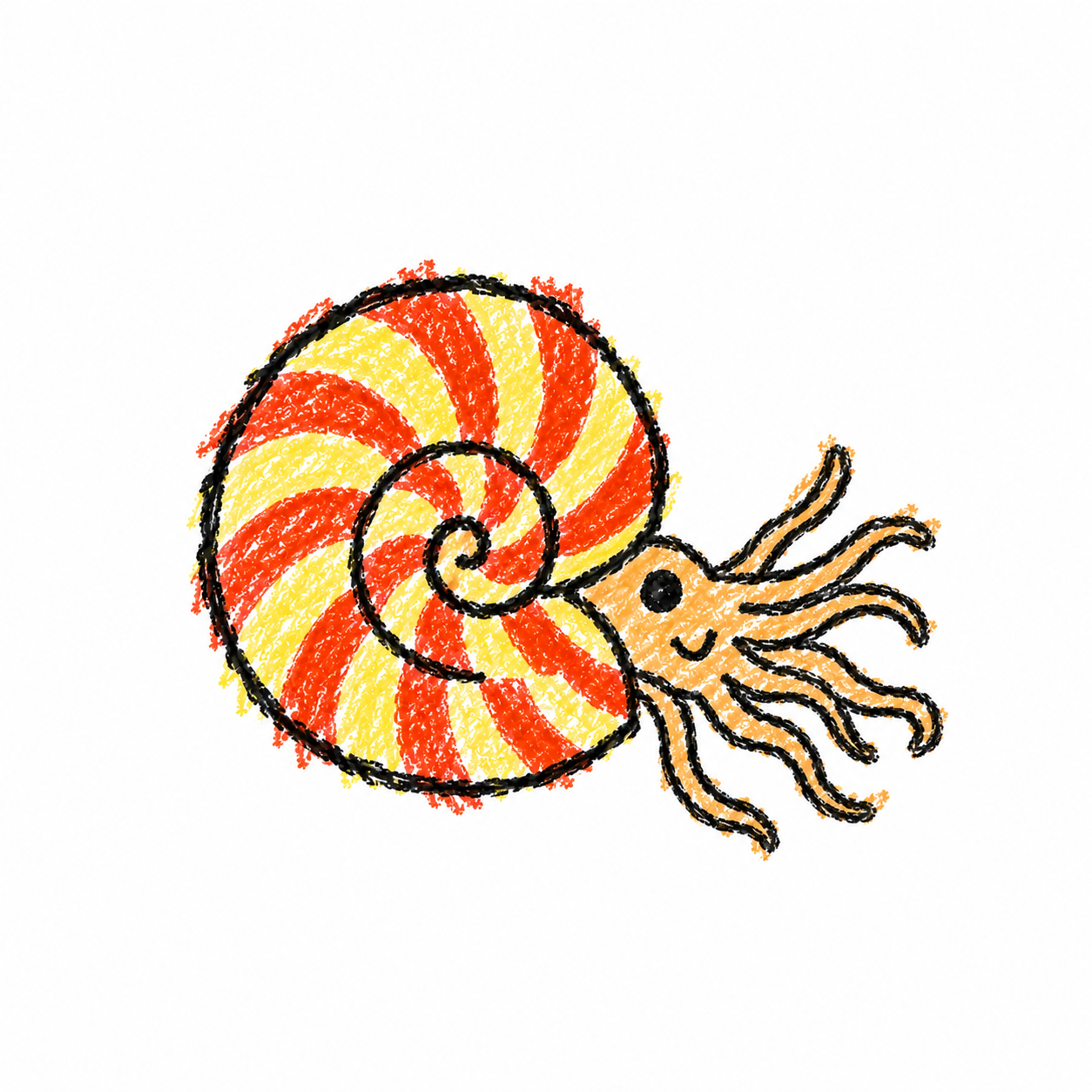 Nautilus