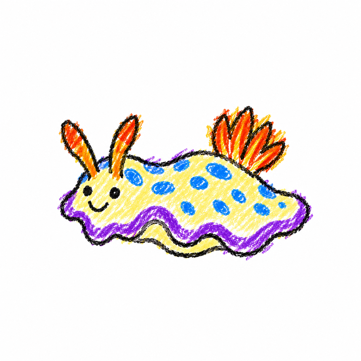 Sea slug