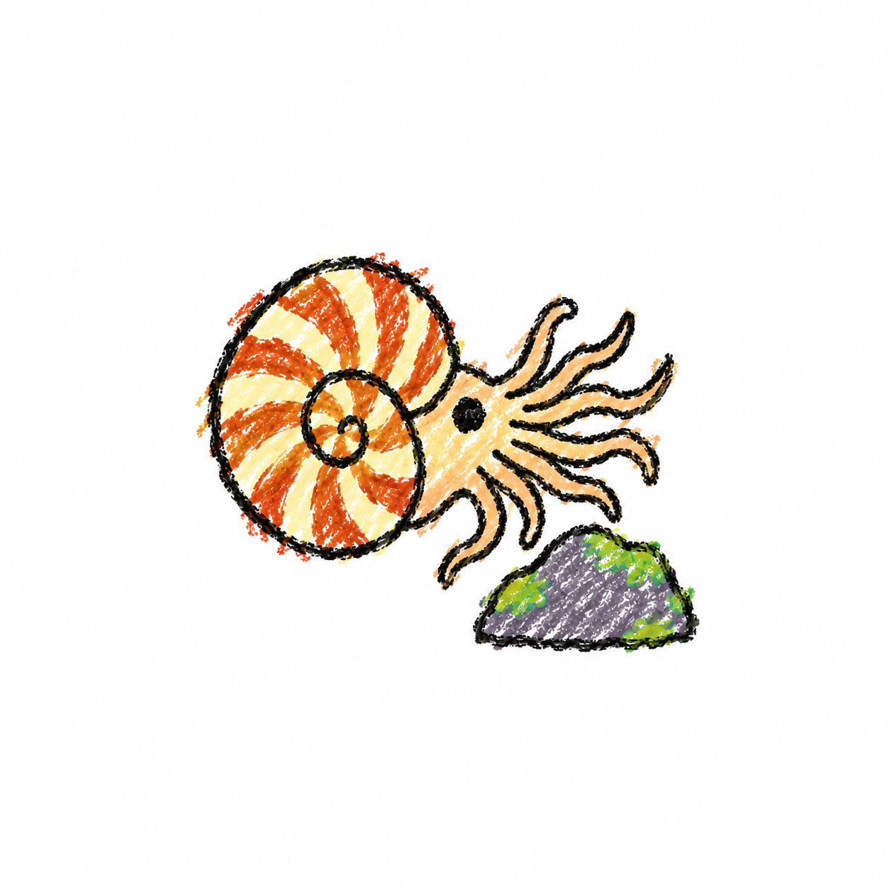 Nautilus Scene
